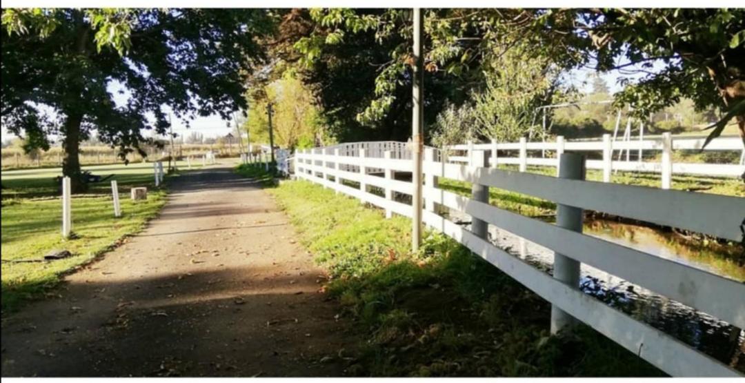 Cabanas Los Castanos Los Ángeles 외부 사진